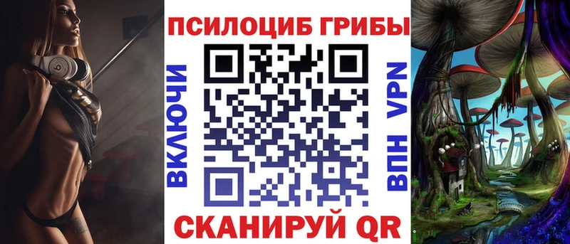 OMG маркетплейс Кыштым Псилоцибиновые грибы прущие грибы