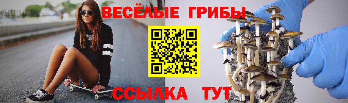Псилоцибиновые грибы Magic Shrooms  Вход с VPN  Галлюциногенные грибы прущие грибы  Кыштым 